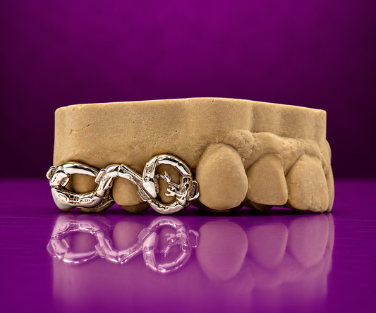 RAYQUAZA GRILLZ — Pokémon Inspired Edition
